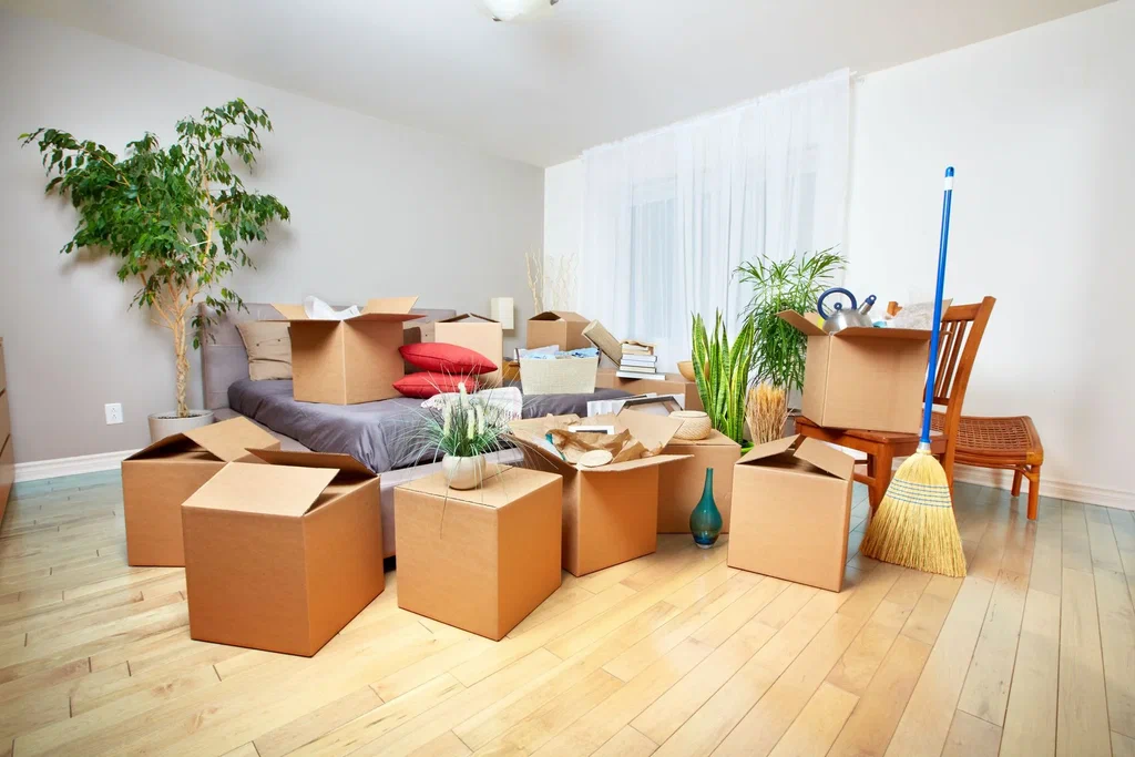 Professional Move-In and Move-Out Cleaning Service